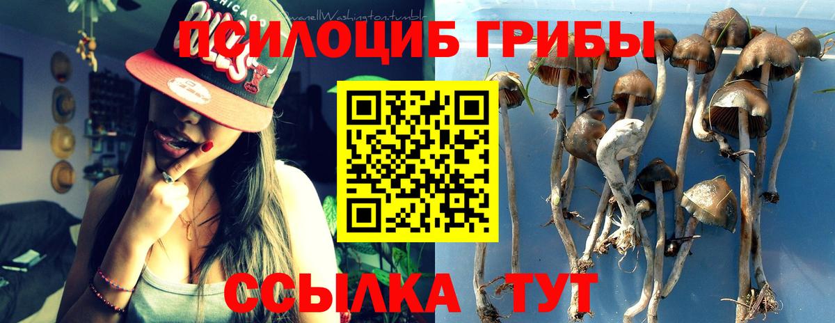 Псилоцибиновые грибы GOLDEN TEACHER Рыбинск
